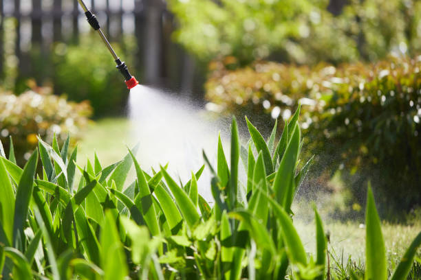 24/7 Emergency Rodent Control experts in Bonneauville, PA